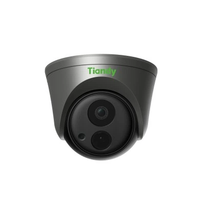 Камера-IP TIANDY TC-A52F2 2/E/6мм